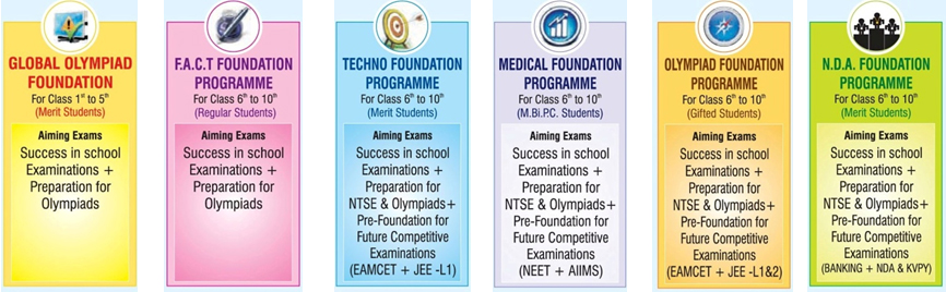 foundation programmes